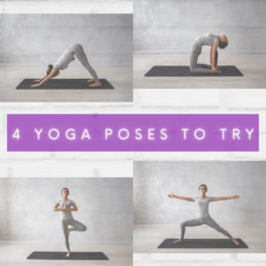 4 images of yoga poses 1. Downward dog / Adho mukha svanasana. 2. Kapotasana / Pigeon Pose. 3. Vrikshasana. 4. Trikonasana. | Fit4Mii Online fitness app