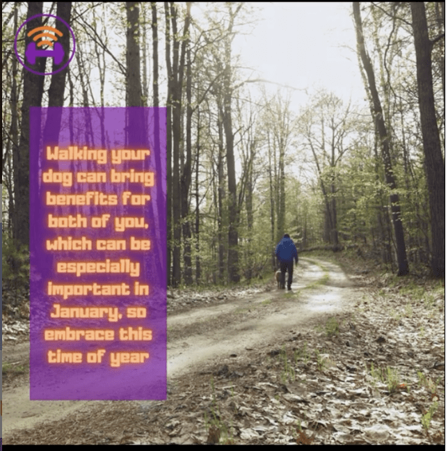 Person walking their dog in the woods | Walk Your Dog Month -Blog |Fit4Mii App
