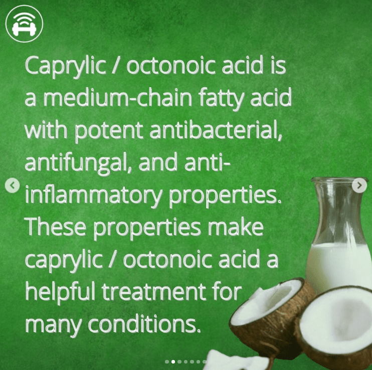 Image of coconuts and milk, with caption "Caprylic / octonoic acid is a medium-chain fat acid with potent antibacterial, anti fungal and anti inflammatory properties. These properties make Caprylic / Octonoic acid a helpful treatment for many conditions"