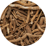 Image of lots of Chicory Root for gut cleansing health